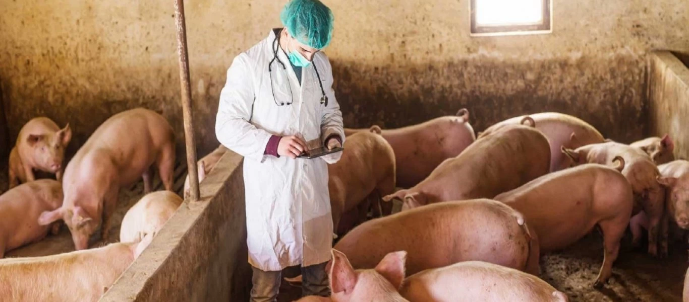 Μια «ανάσα» μακριά μας η πανώλη - Κίνδυνος το επικίνδυνο ιογενές νόσημα να περάσει στην Ελλάδα